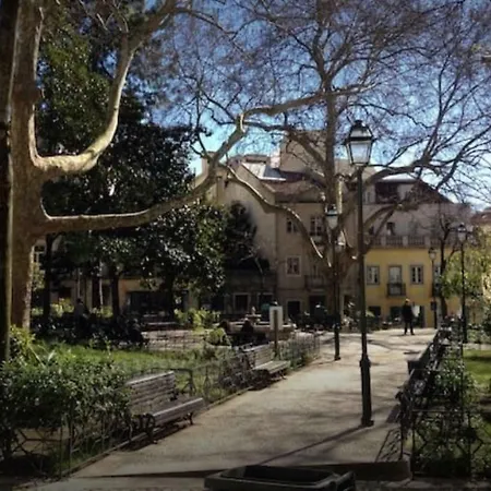 New Charming Flat - Center Lisbon